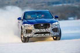Image result for Glacier 2017 Jaguar