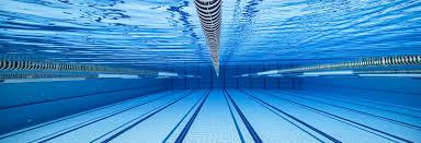Image result for Hazel Grove & Bramhall Swimming Club