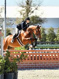 Image result for Patchett`s Green Riding Club