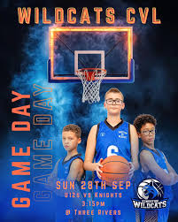 Image result for Kingston Wildcats Basketball Club