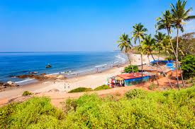Image result for goa beaches