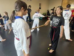 Image result for Martial Arts University Charlotte