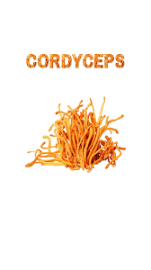 Attēlu rezultāti vaicājumam “Cordyceps”