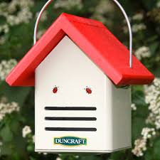 Image result for ladybug house