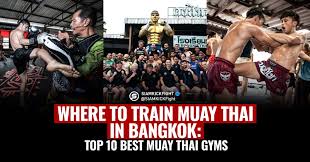 Image result for Muay Thai Clubs
