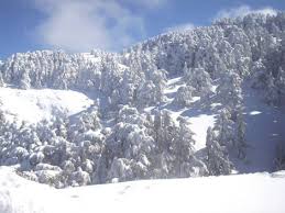 الثلج الذي كسى معظم ولايات الجزائر Images?q=tbn:ANd9GcSDTADV-d8-XY0NKwWe3kbN4i2FtHRrTyKY1glJsrMkxP4DU3xx