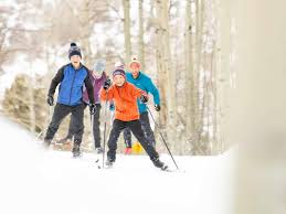 Image result for Scandinavian slope and cross country skiing