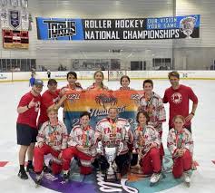 Image result for Vipers Roller Hockey Team