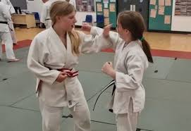 Image result for A BRITISH JUJITSU RYU in Lancing