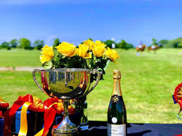 Image result for White Rose Polo Club