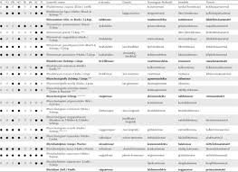 Attēlu rezultāti vaicājumam “Thamnobryum subserratum sporophyte”