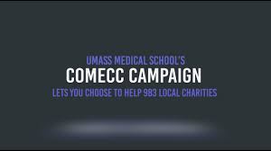 Image result for Worcester Dominies & Guild Cc