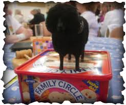 Image result for Abingdon Bowls Club