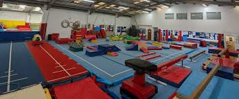 Image result for Harlequins Gymnastics Club