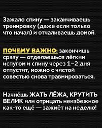 Картинки по запросу белку зажевало в диск