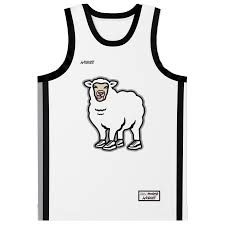 Image result for Teamsheep