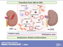Image result for Peak Performance Ckd, Horley