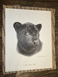 Image result for Black 1983 Jaguar