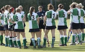 Image result for Wallingford Hockey Club