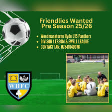 Image result for Woodmansterne Sports Fc