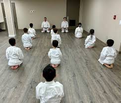 Image result for Bushin Kenpo Kai Schools