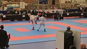 Image result for Redhill Karate Association