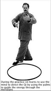 Image result for HAINAULT & CHIGWELL CHANGQUAN FLYING DRAGON