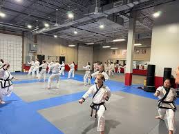 Image result for Synergy Tae Kwon Do