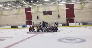 Image result for Aberdeen Linx Skating Club