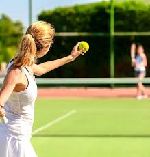 Image result for Lane Tennis Club Ltd