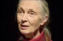 A photograph of Jane Goodall.