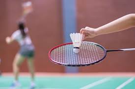 Image result for Dunstable Junior Badminton Club
