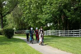 Image result for amish dress