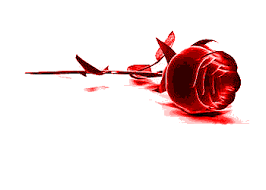 http://t0.gstatic.com/images?q=tbn:ANd9GcSDYpVoyueArgmaiGTfuHZJa7SmyYSdPvOknb2oETAlBSiSX8MYeQ