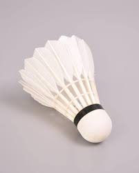 Image result for Shuttles Badminton Club (Frome)