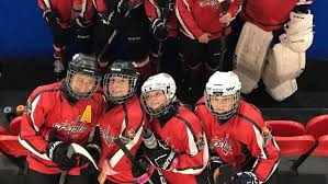 Image result for Haringey Junior Ice Hockey Club