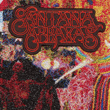 Attēlu rezultāti vaicājumam “Abraxas sylvata imago”