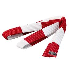 Image result for Broadwell Karate Club