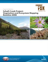 Attēlu rezultāti vaicājumam “Pseudobryum cinclidioides cells”