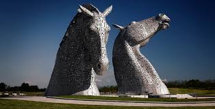 Image result for Scottish Equi Complex