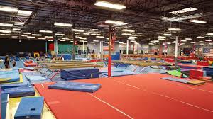 Image result for Fish trampoline and gymnastics club