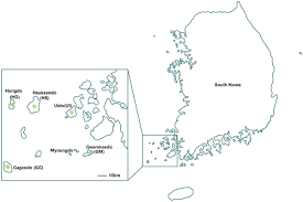 Attēlu rezultāti vaicājumam “Saussurea esthonica”