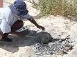 Damper (food) - Wikipedia, the free encyclopedia
