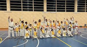 Image result for Ipswich Shotokan Karate Club
