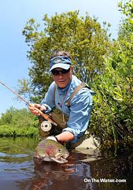 Image result for Byfleet Angling Club