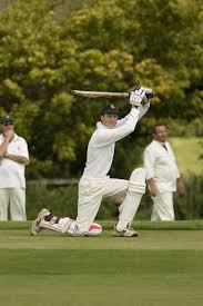 Image result for Wilden Village Cricket Club