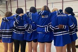 Image result for Futureprint Tmts Netball Club