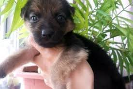 Image result for site:buyreklama.ru/*