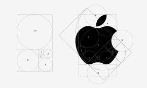 Image result for numero aureo