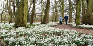 Image result for Runnymede Ramblers